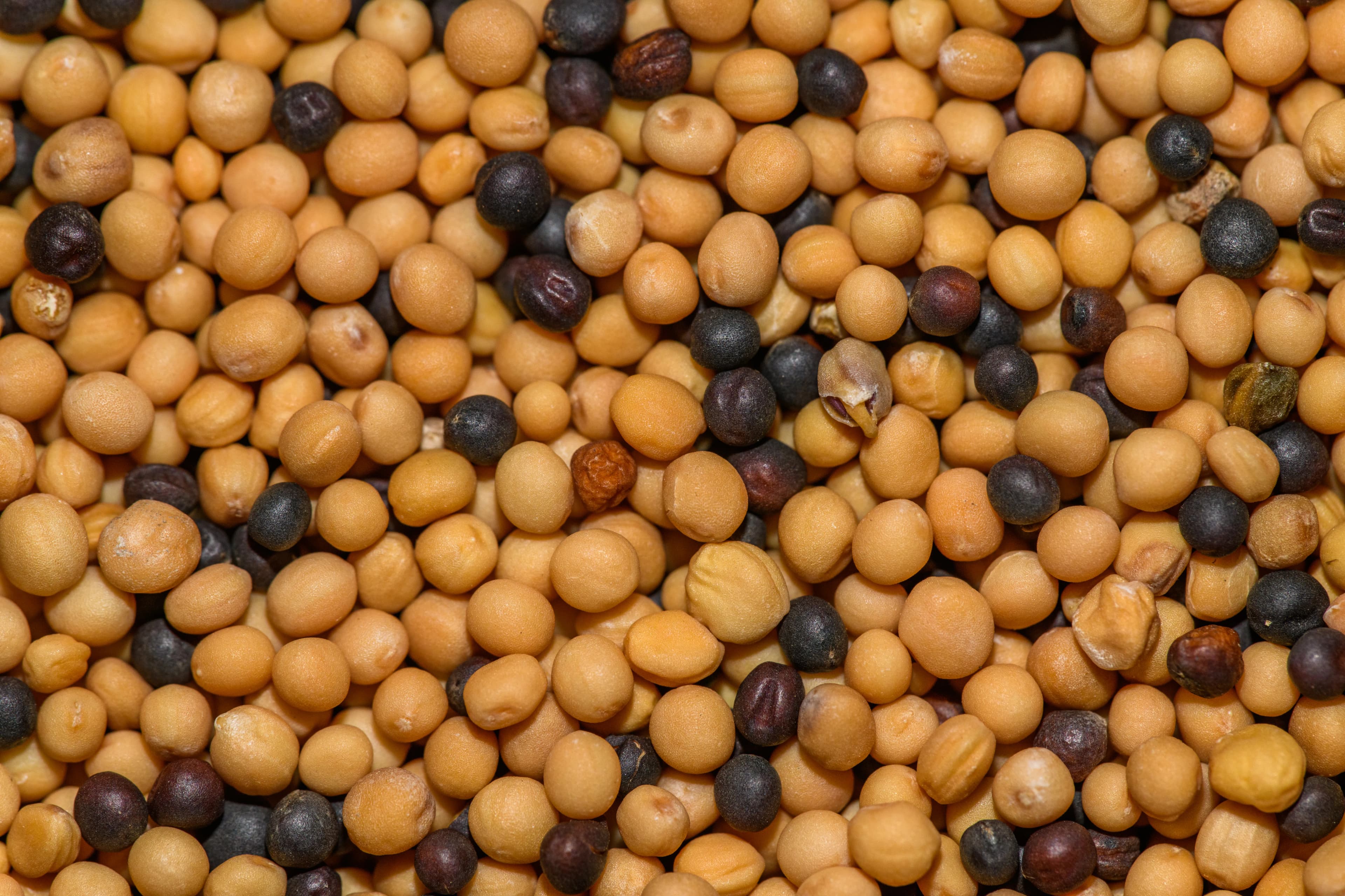 Kachi Ghani Mustard Oil